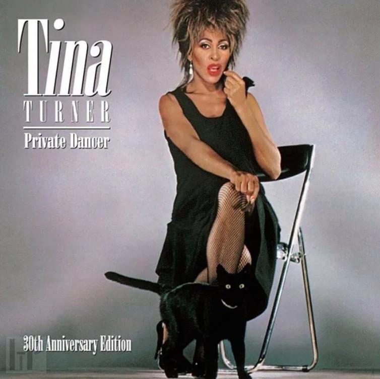 Turner Tina: Private Dancer - Vinyl (LP)
