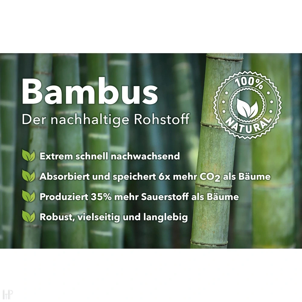 Dynavox CF-1 Bamboo Black