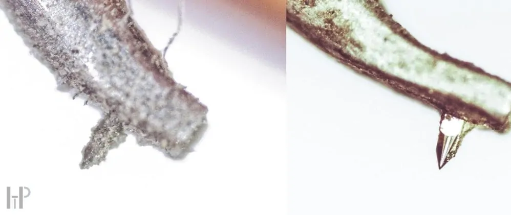 FLUX Hifi Sonic Basic + 